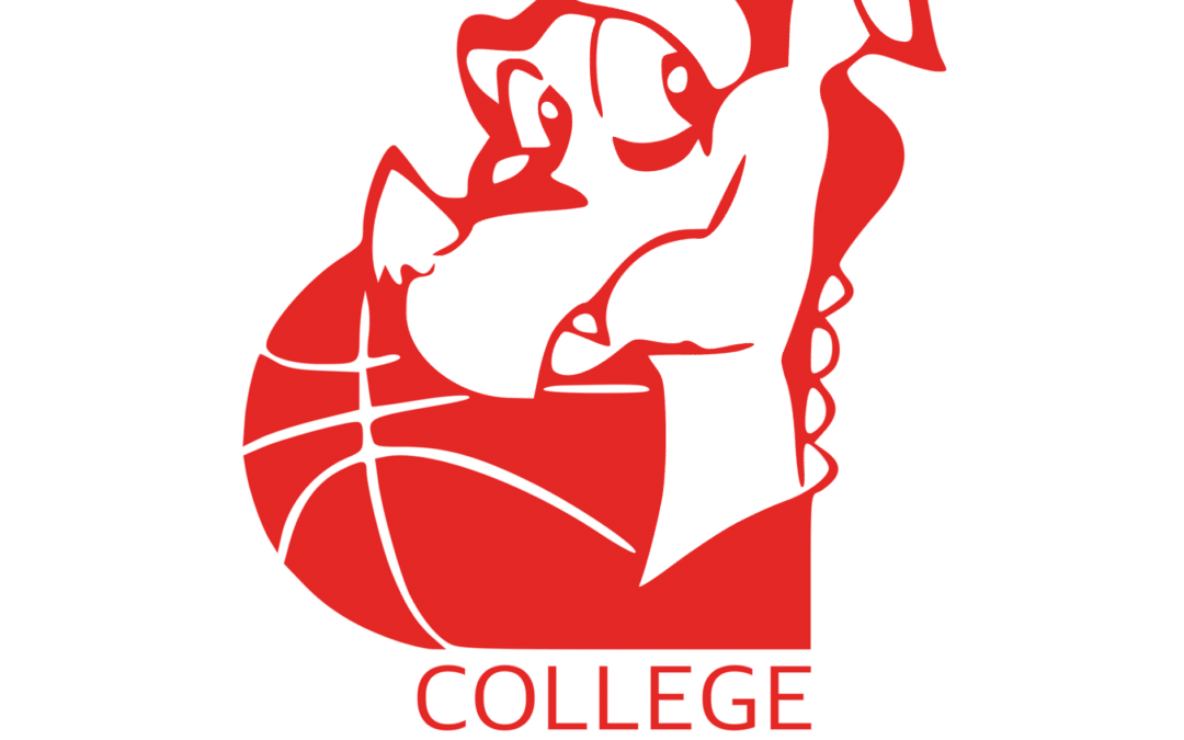 Collège Saint Louis Basket Club